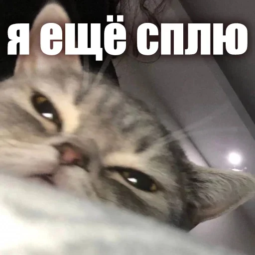 👋 Стикер «ЖЮ Видео НГ» для Telegram