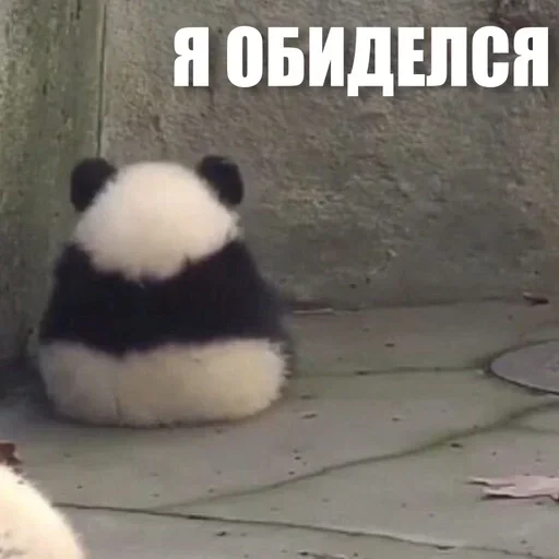 😒 Стикер «ЖЮ Видео НГ» для Telegram