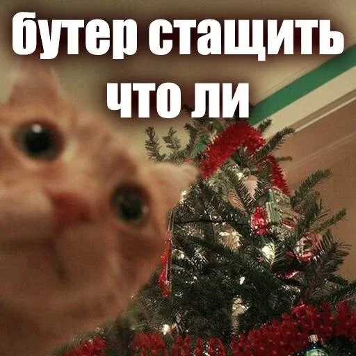 😈 Стикер «ЖЮ Видео НГ» для Telegram