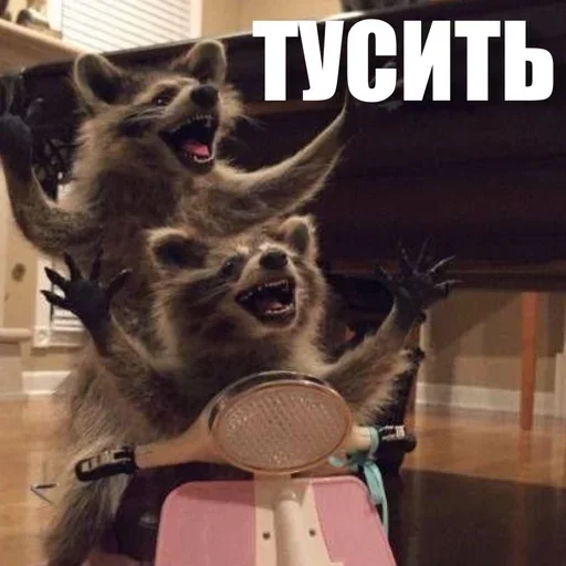 🥳 Стикер «ЖЮ Видео НГ» для Telegram