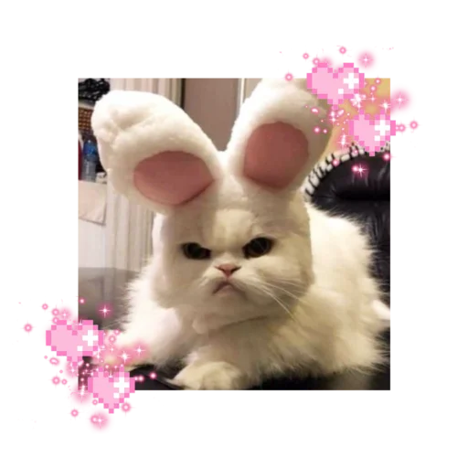 🐱 Стикер «likecats» для Telegram