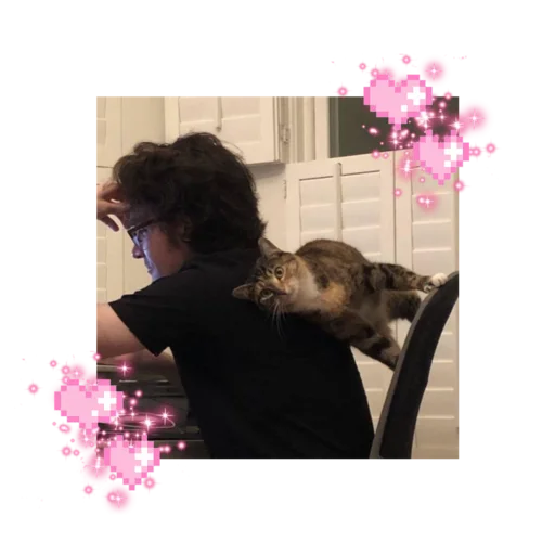 🐱 Стикер «likecats» для Telegram