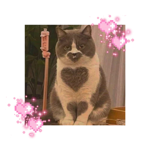 🐱 Стикер «likecats» для Telegram