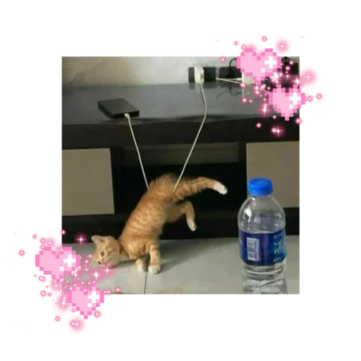 🐱 Стикер «likecats» для Telegram