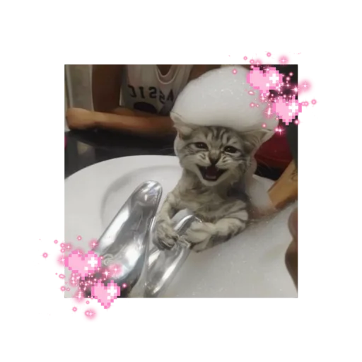 🐱 Стикер «likecats» для Telegram