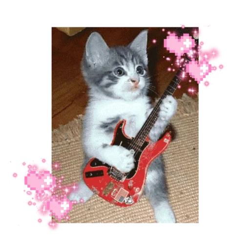 🐱 Стикер «likecats» для Telegram