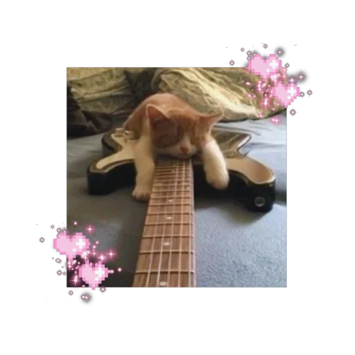 🐱 Стикер «likecats» для Telegram