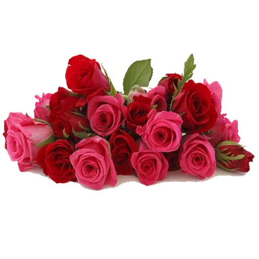 😚 Стикер «Like Pack» для Telegram