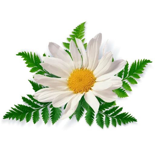 ☺️ Стикер «Like Pack» для Telegram