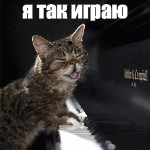 🎮 Стикер «Lil_Bub» для Telegram
