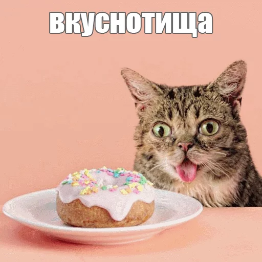 😋 Стикер «Lil_Bub» для Telegram