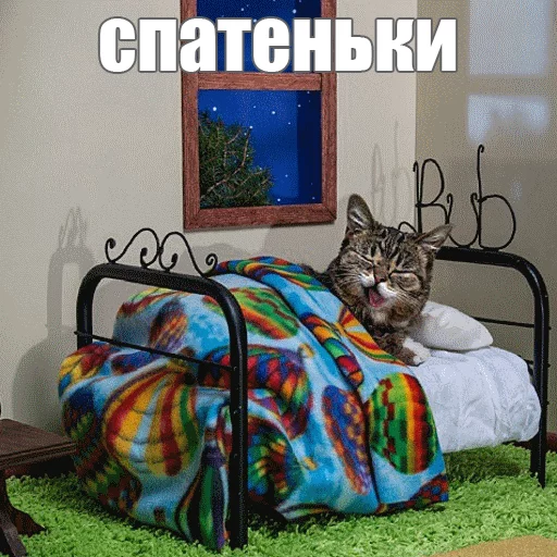 😴 Стикер «Lil_Bub» для Telegram