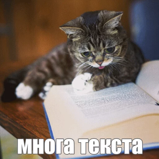 ☹️ Стикер «Lil_Bub» для Telegram