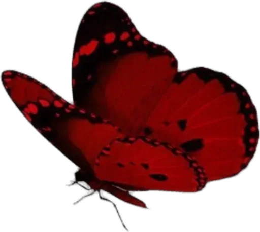 🌟 Стикер «red mixed» для Telegram