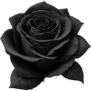 🩷 Эмодзи «Lil Peep for Halloween» для Telegram