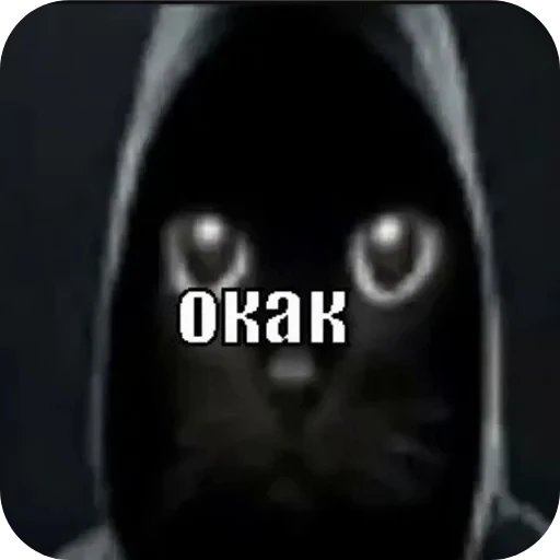 😨 Стикер «lil pussy» для Telegram
