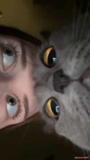 😍 Стикер «lil pussy» для Telegram