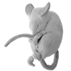 Стикер 60 Hazy Gray