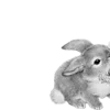 Стикер 57 🐇 white emoji - белая эстетика