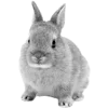 Стикер 54 🐇 white emoji - белая эстетика