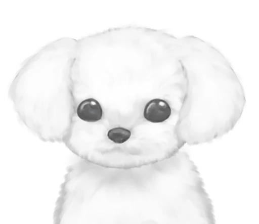 ⭐ Стикер «Kakao Emoticons» для Telegram