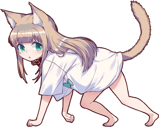 😲 Стикер «Kinako (Osakana Neko)» для Telegram