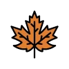 🍁 Эмодзи «для крутых преподов» для Telegram
