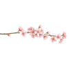 Стикер 19 adaptive #decor