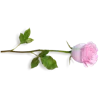 Стикер 47 adaptive #decor