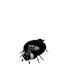 Стикер 19 𝑚𝑜𝑛𝑜𝑐ℎ𝑟𝑜𝑚𝑒