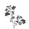 Стикер 14 𝑚𝑜𝑛𝑜𝑐ℎ𝑟𝑜𝑚𝑒
