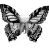 Стикер 15 𝑚𝑜𝑛𝑜𝑐ℎ𝑟𝑜𝑚𝑒