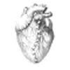 Стикер 57 Cerulean