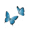 Стикер 28 Cerulean