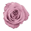 Стикер 9 𝑃𝑖𝑛𝑘 𝐿𝑜𝑙𝑖𝑡𝑎