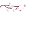 Стикер 22 𝑃𝑖𝑛𝑘 𝐿𝑜𝑙𝑖𝑡𝑎