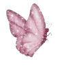 Стикер 51 𝑃𝑖𝑛𝑘 𝐿𝑜𝑙𝑖𝑡𝑎