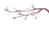 Стикер 24 𝑃𝑖𝑛𝑘 𝐿𝑜𝑙𝑖𝑡𝑎