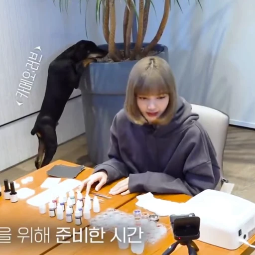 🥰 Стикер «Lisa» для Telegram