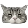 Обложка набора 🩶 random gray emoji