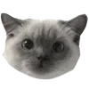 Стикер 26 🩶 random gray emoji