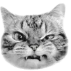 Стикер 8 🩶 random gray emoji