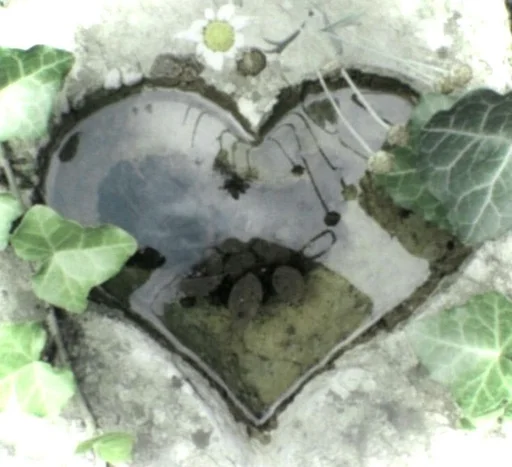 🌟 Стикер «love for aesthetics» для Telegram