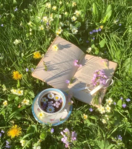 🌟 Стикер «love for aesthetics» для Telegram
