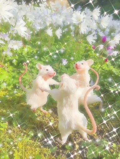 🌟 Стикер «love for aesthetics» для Telegram
