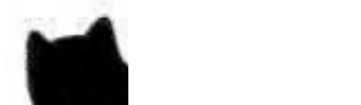 🐱 Стикер «Little Black Cat» для Telegram