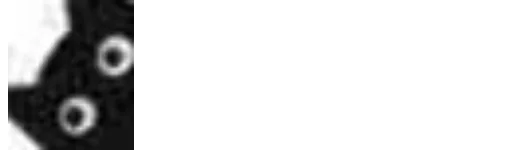 🐱 Стикер «Little Black Cat» для Telegram
