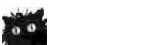 🐱 Стикер «Little Black Cat» для Telegram