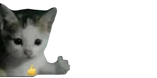 😹 Стикер «Little Kitties» для Telegram