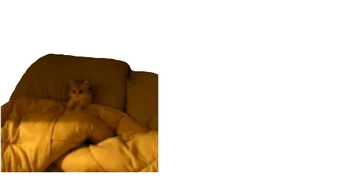 🛌 Стикер «Little Kitties» для Telegram